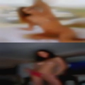 Cougar fucking dating
