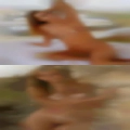 Swingers scat