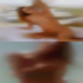 Fuck clubs Knoxville