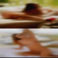 Housewives sluts just fucking