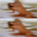 Naked people swingers