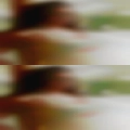 Washington area swingers