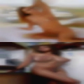 Free nasty Texas swingers